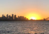 Sydney Skyline and Harbour