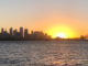 Sydney Skyline and Harbour