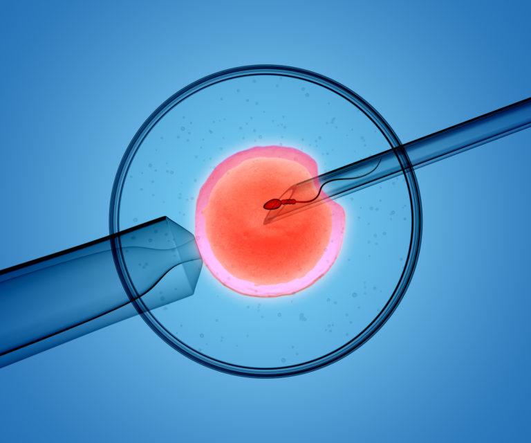 Was IVF worth it? When the cult of procreation leaves you wondering.