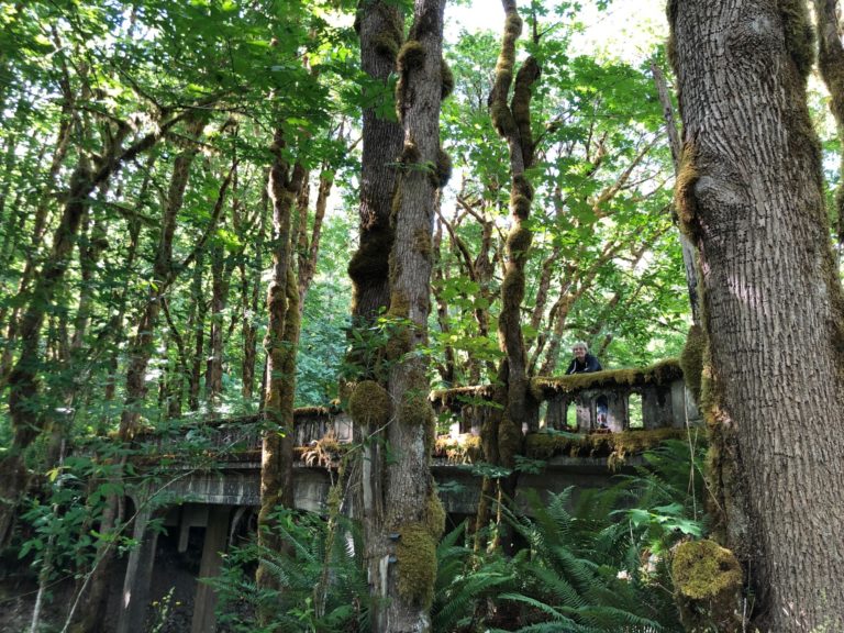 Life and Death: Forks after Twilight