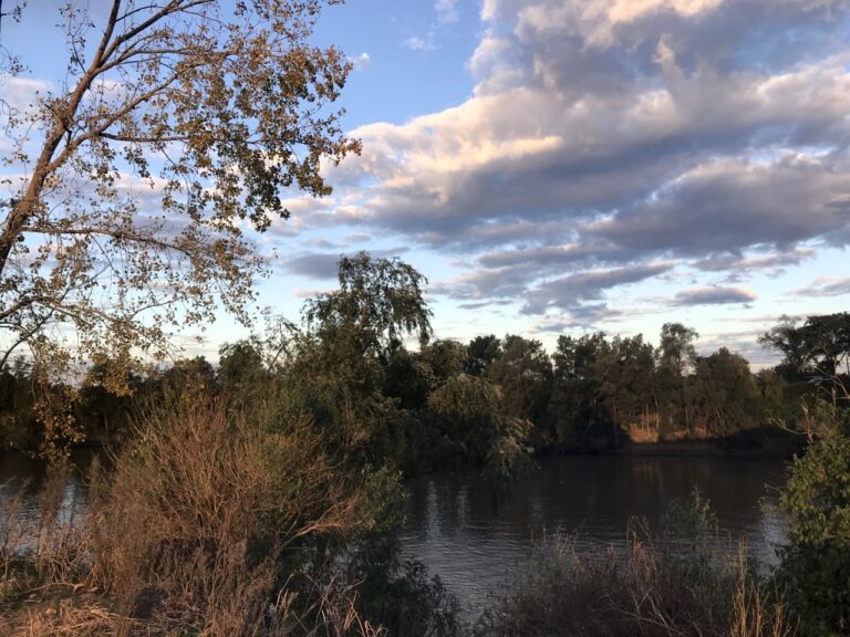 Killing times on the Hawkesbury River