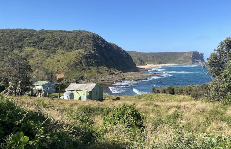 Heritage huts in Royal National Parks: Invasive pests or historical treasures?