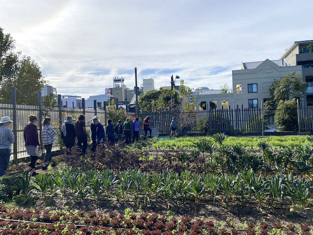 Sydney’s city farming inspires lifestyle choices