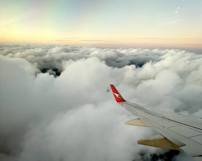 The Flight Decision: Who’s in the Cockpit?